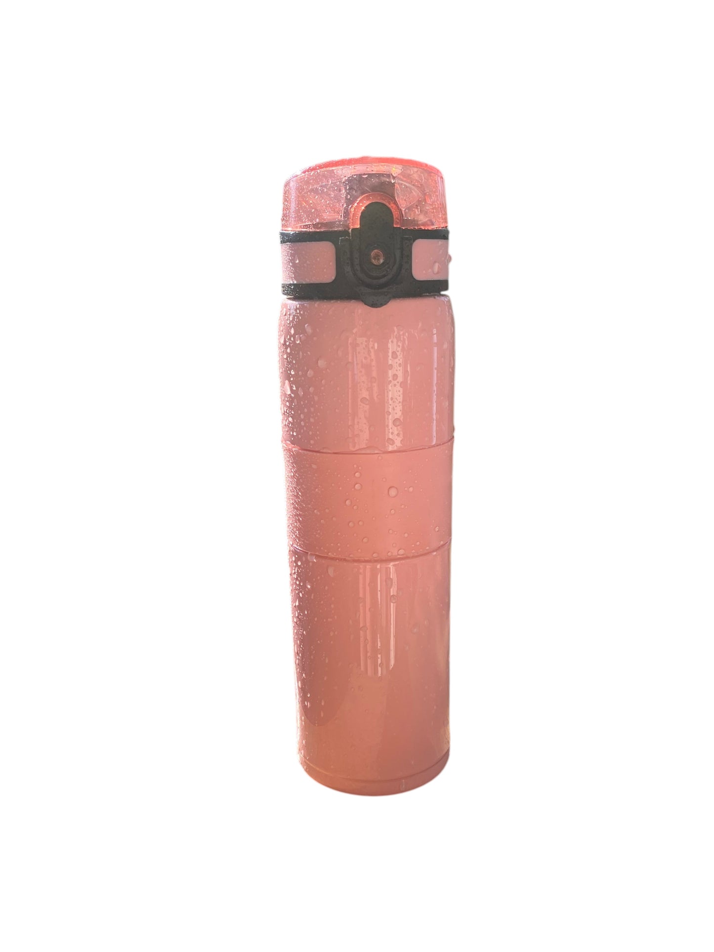 Bouteille Filtrante Inox 500ml